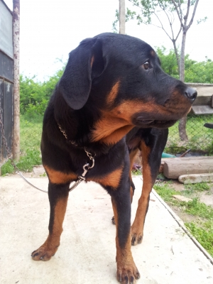 20120505_191237.jpg