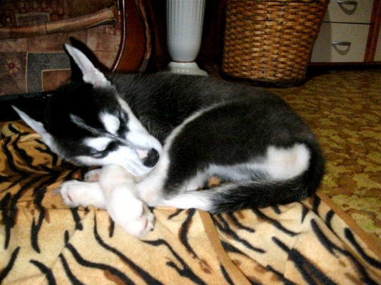 DSCF5757.JPG