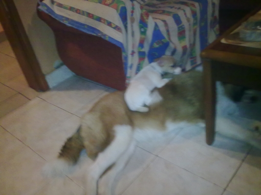 11072012155.jpg