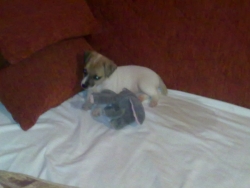 10062012129.jpg
