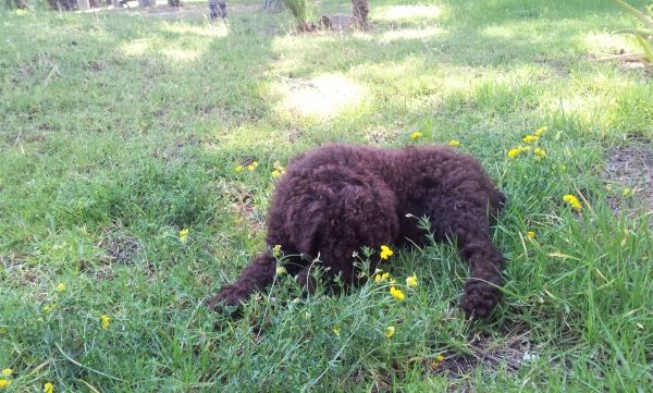 20120529_171218.jpg