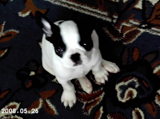 IMAG0005.JPG