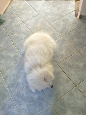 03082012975.jpg