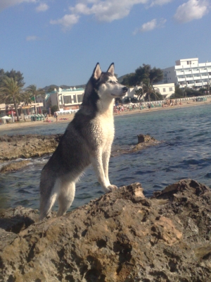 08062011752.jpg