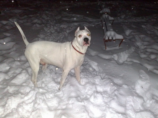 04012009217.jpg