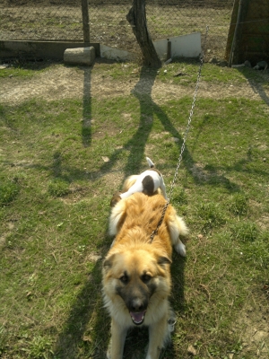 24032012722.jpg