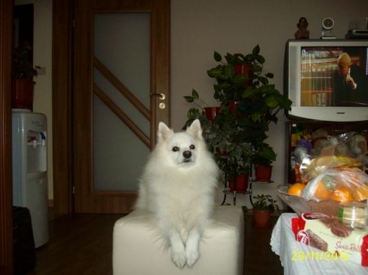 Picture 193.jpg
