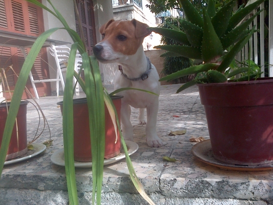 IMG-20130124-00095.jpg