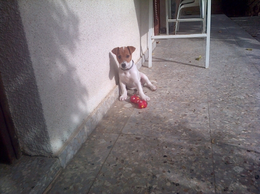 IMG-20130124-00103.jpg