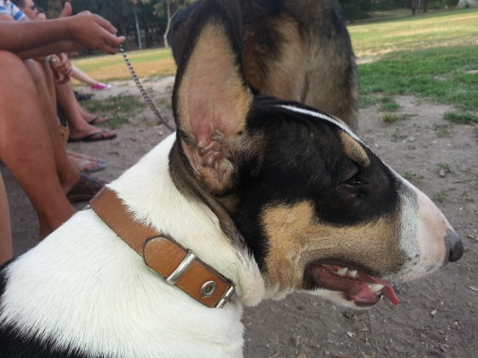 20130810_191341.jpg