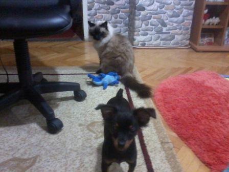 Снимки0200.jpg