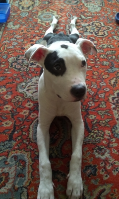 IMAG0085.jpg