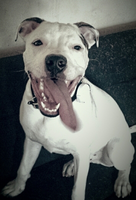 9 months