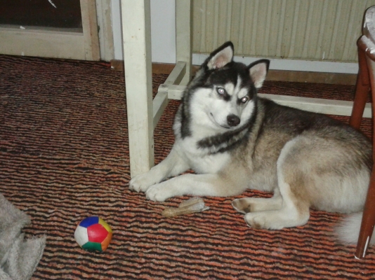 20141006_210257.jpg