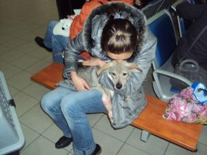 Прикачена снимка
