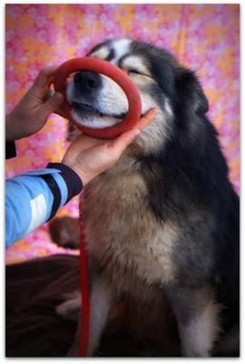 Прикачена снимка