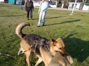 Прикачена снимка