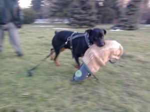 Прикачена снимка