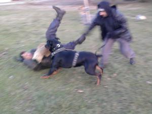 Прикачена снимка