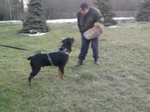 Прикачена снимка