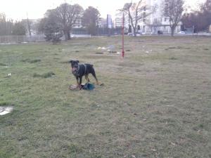 Прикачена снимка