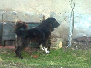 Прикачена снимка