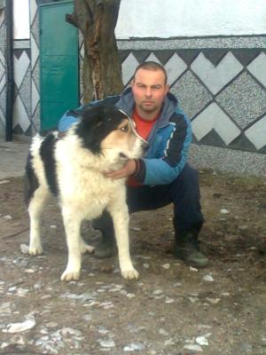 Прикачена снимка