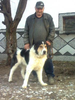 Прикачена снимка