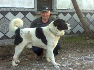 Прикачена снимка