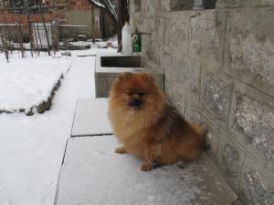 Прикачена снимка