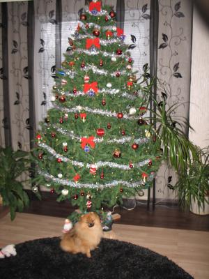 Прикачена снимка