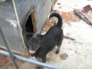 Прикачена снимка