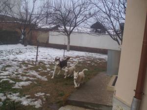 Прикачена снимка