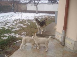 Прикачена снимка