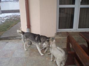 Прикачена снимка