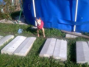 Прикачена снимка