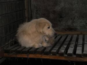 Прикачена снимка