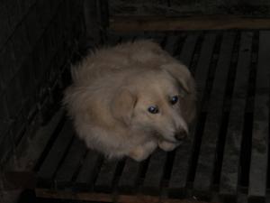 Прикачена снимка