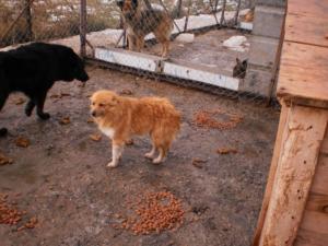 Прикачена снимка