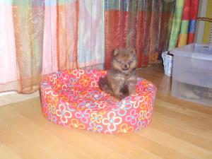 Прикачена снимка