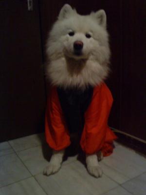 Прикачена снимка