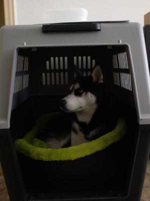 Прикачена снимка
