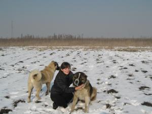 Прикачена снимка