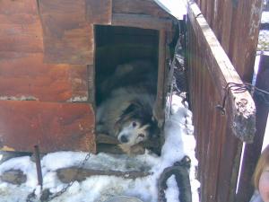 Прикачена снимка