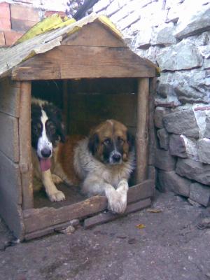 Прикачена снимка