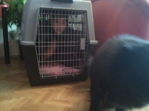 Прикачена снимка