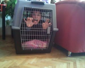 Прикачена снимка