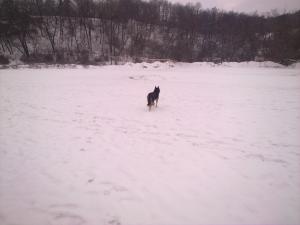 Прикачена снимка