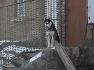 Прикачена снимка