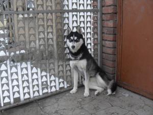 Прикачена снимка